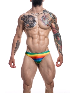 Low Rise Bikini Brief - M - Rainbow