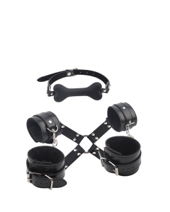 Fully Restrain You Lover Set